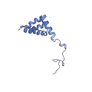 26035_7toq_AL36_v1-2
Mammalian 80S ribosome bound with the ALS/FTD-associated dipeptide repeat protein poly-PR