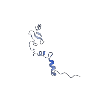 26035_7toq_AL37_v1-1
Mammalian 80S ribosome bound with the ALS/FTD-associated dipeptide repeat protein poly-PR
