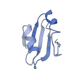26035_7toq_AL38_v1-1
Mammalian 80S ribosome bound with the ALS/FTD-associated dipeptide repeat protein poly-PR