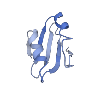 26035_7toq_AL38_v1-2
Mammalian 80S ribosome bound with the ALS/FTD-associated dipeptide repeat protein poly-PR