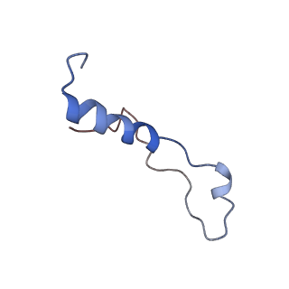 26035_7toq_AL39_v1-1
Mammalian 80S ribosome bound with the ALS/FTD-associated dipeptide repeat protein poly-PR