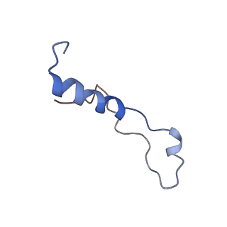 26035_7toq_AL39_v1-2
Mammalian 80S ribosome bound with the ALS/FTD-associated dipeptide repeat protein poly-PR