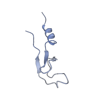 26035_7toq_AL40_v1-1
Mammalian 80S ribosome bound with the ALS/FTD-associated dipeptide repeat protein poly-PR
