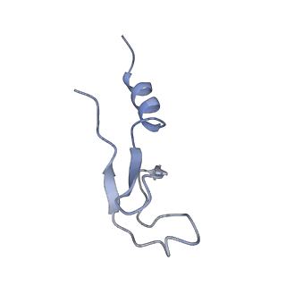 26035_7toq_AL40_v1-2
Mammalian 80S ribosome bound with the ALS/FTD-associated dipeptide repeat protein poly-PR