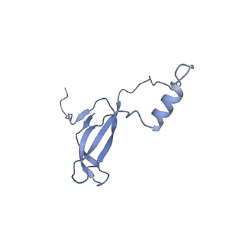 26035_7toq_AL42_v1-1
Mammalian 80S ribosome bound with the ALS/FTD-associated dipeptide repeat protein poly-PR