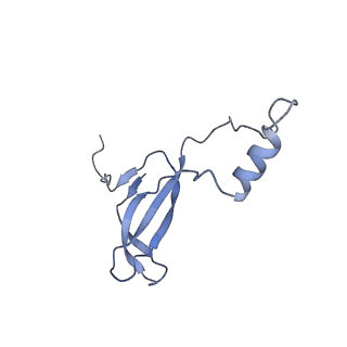 26035_7toq_AL42_v1-2
Mammalian 80S ribosome bound with the ALS/FTD-associated dipeptide repeat protein poly-PR