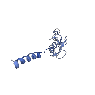 26035_7toq_AL43_v1-1
Mammalian 80S ribosome bound with the ALS/FTD-associated dipeptide repeat protein poly-PR