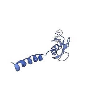 26035_7toq_AL43_v1-2
Mammalian 80S ribosome bound with the ALS/FTD-associated dipeptide repeat protein poly-PR