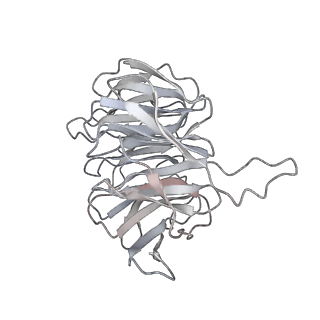 26035_7toq_ARAC_v1-1
Mammalian 80S ribosome bound with the ALS/FTD-associated dipeptide repeat protein poly-PR