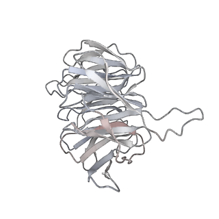 26035_7toq_ARAC_v1-2
Mammalian 80S ribosome bound with the ALS/FTD-associated dipeptide repeat protein poly-PR