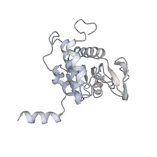 26035_7toq_AS00_v1-1
Mammalian 80S ribosome bound with the ALS/FTD-associated dipeptide repeat protein poly-PR