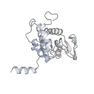 26035_7toq_AS00_v1-2
Mammalian 80S ribosome bound with the ALS/FTD-associated dipeptide repeat protein poly-PR