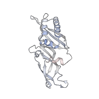 26035_7toq_AS01_v1-1
Mammalian 80S ribosome bound with the ALS/FTD-associated dipeptide repeat protein poly-PR