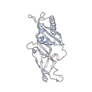 26035_7toq_AS01_v1-2
Mammalian 80S ribosome bound with the ALS/FTD-associated dipeptide repeat protein poly-PR