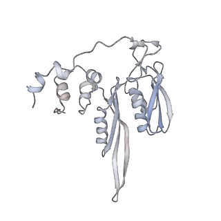26035_7toq_AS02_v1-1
Mammalian 80S ribosome bound with the ALS/FTD-associated dipeptide repeat protein poly-PR