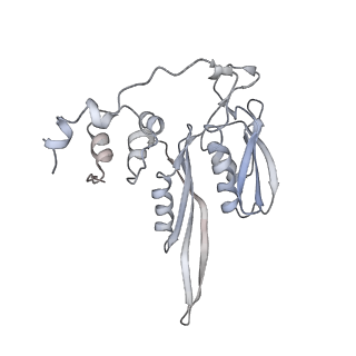 26035_7toq_AS02_v1-2
Mammalian 80S ribosome bound with the ALS/FTD-associated dipeptide repeat protein poly-PR