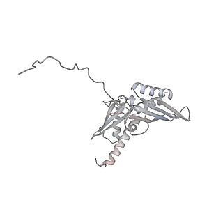26035_7toq_AS03_v1-1
Mammalian 80S ribosome bound with the ALS/FTD-associated dipeptide repeat protein poly-PR