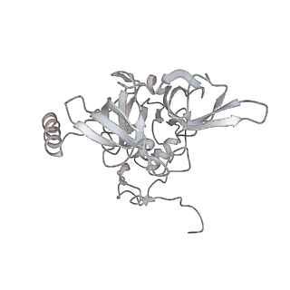 26035_7toq_AS04_v1-1
Mammalian 80S ribosome bound with the ALS/FTD-associated dipeptide repeat protein poly-PR