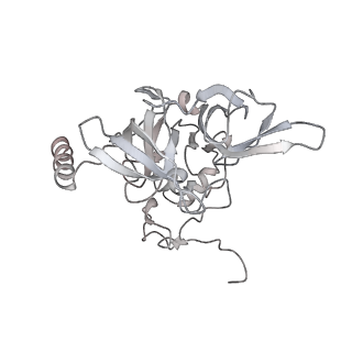 26035_7toq_AS04_v1-2
Mammalian 80S ribosome bound with the ALS/FTD-associated dipeptide repeat protein poly-PR