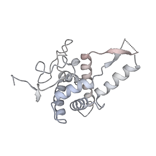 26035_7toq_AS05_v1-1
Mammalian 80S ribosome bound with the ALS/FTD-associated dipeptide repeat protein poly-PR