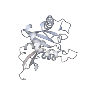26035_7toq_AS07_v1-1
Mammalian 80S ribosome bound with the ALS/FTD-associated dipeptide repeat protein poly-PR