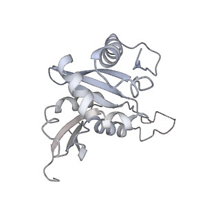 26035_7toq_AS07_v1-2
Mammalian 80S ribosome bound with the ALS/FTD-associated dipeptide repeat protein poly-PR