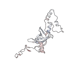 26035_7toq_AS08_v1-1
Mammalian 80S ribosome bound with the ALS/FTD-associated dipeptide repeat protein poly-PR