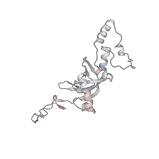 26035_7toq_AS08_v1-2
Mammalian 80S ribosome bound with the ALS/FTD-associated dipeptide repeat protein poly-PR