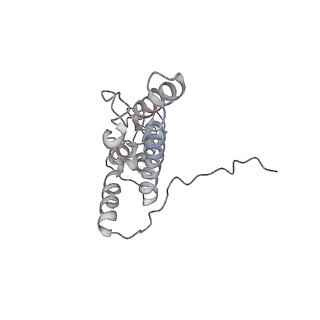 26035_7toq_AS09_v1-1
Mammalian 80S ribosome bound with the ALS/FTD-associated dipeptide repeat protein poly-PR