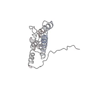 26035_7toq_AS09_v1-2
Mammalian 80S ribosome bound with the ALS/FTD-associated dipeptide repeat protein poly-PR