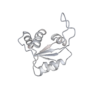 26035_7toq_AS12_v1-2
Mammalian 80S ribosome bound with the ALS/FTD-associated dipeptide repeat protein poly-PR