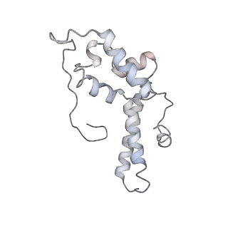26035_7toq_AS13_v1-1
Mammalian 80S ribosome bound with the ALS/FTD-associated dipeptide repeat protein poly-PR