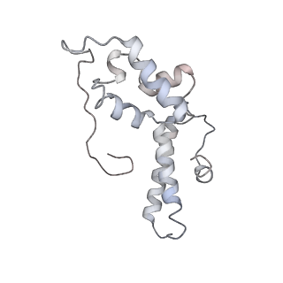 26035_7toq_AS13_v1-2
Mammalian 80S ribosome bound with the ALS/FTD-associated dipeptide repeat protein poly-PR