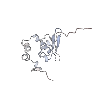 26035_7toq_AS15_v1-1
Mammalian 80S ribosome bound with the ALS/FTD-associated dipeptide repeat protein poly-PR