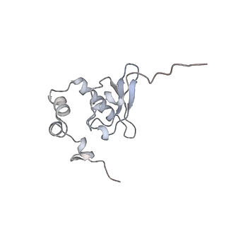 26035_7toq_AS15_v1-2
Mammalian 80S ribosome bound with the ALS/FTD-associated dipeptide repeat protein poly-PR