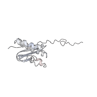 26035_7toq_AS16_v1-1
Mammalian 80S ribosome bound with the ALS/FTD-associated dipeptide repeat protein poly-PR