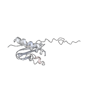 26035_7toq_AS16_v1-2
Mammalian 80S ribosome bound with the ALS/FTD-associated dipeptide repeat protein poly-PR