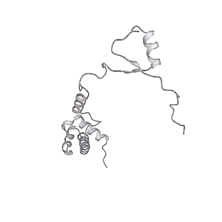 26035_7toq_AS17_v1-1
Mammalian 80S ribosome bound with the ALS/FTD-associated dipeptide repeat protein poly-PR
