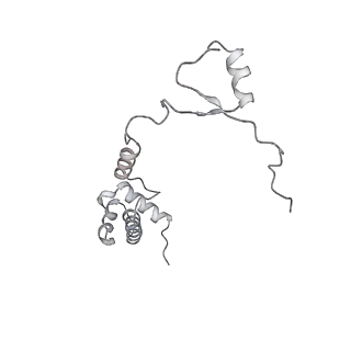 26035_7toq_AS17_v1-2
Mammalian 80S ribosome bound with the ALS/FTD-associated dipeptide repeat protein poly-PR