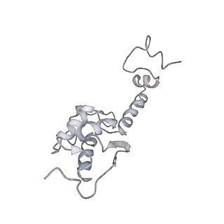 26035_7toq_AS18_v1-1
Mammalian 80S ribosome bound with the ALS/FTD-associated dipeptide repeat protein poly-PR