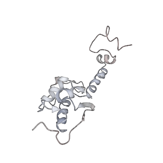 26035_7toq_AS18_v1-2
Mammalian 80S ribosome bound with the ALS/FTD-associated dipeptide repeat protein poly-PR