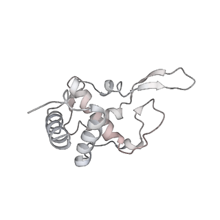 26035_7toq_AS19_v1-1
Mammalian 80S ribosome bound with the ALS/FTD-associated dipeptide repeat protein poly-PR