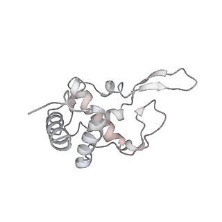 26035_7toq_AS19_v1-2
Mammalian 80S ribosome bound with the ALS/FTD-associated dipeptide repeat protein poly-PR