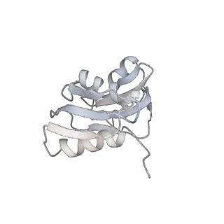 26035_7toq_AS22_v1-2
Mammalian 80S ribosome bound with the ALS/FTD-associated dipeptide repeat protein poly-PR