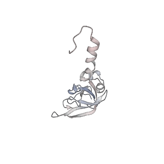 26035_7toq_AS23_v1-1
Mammalian 80S ribosome bound with the ALS/FTD-associated dipeptide repeat protein poly-PR