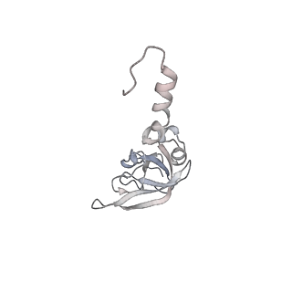 26035_7toq_AS23_v1-2
Mammalian 80S ribosome bound with the ALS/FTD-associated dipeptide repeat protein poly-PR