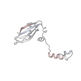 26035_7toq_AS24_v1-2
Mammalian 80S ribosome bound with the ALS/FTD-associated dipeptide repeat protein poly-PR