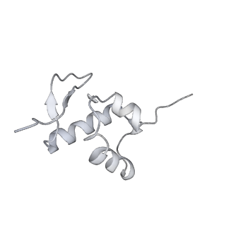 26035_7toq_AS25_v1-2
Mammalian 80S ribosome bound with the ALS/FTD-associated dipeptide repeat protein poly-PR