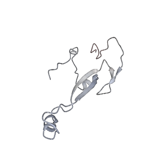 26035_7toq_AS26_v1-2
Mammalian 80S ribosome bound with the ALS/FTD-associated dipeptide repeat protein poly-PR