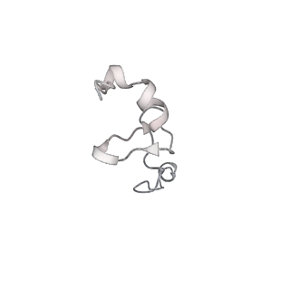 26035_7toq_AS29_v1-2
Mammalian 80S ribosome bound with the ALS/FTD-associated dipeptide repeat protein poly-PR